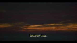 Rawayana  Camarones Y Viniles Visualizer [upl. by Ambrose]