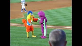 Famous Chicken battles Barney in a danceoff [upl. by Candide]