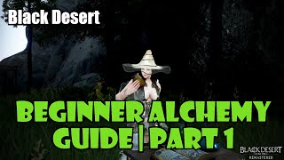 Black Desert Beginner Alchemy Guide Part 1  Deciding What to Make for EXP Money and Profit [upl. by Cully]