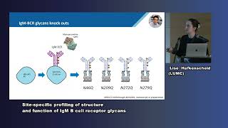 Dr Lise Hafkenscheid Sitespecific profiling of structure amp function of IgM B cell receptor glycans [upl. by Diarmid]