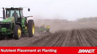 BRANDT Agronomy Update Nutrition at Planting [upl. by Asilrahc]