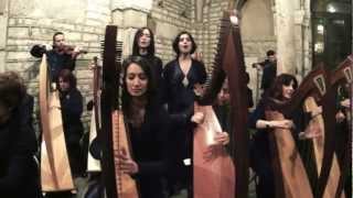 Game of Thrones  Celtic Harp Orchestra [upl. by Srini]