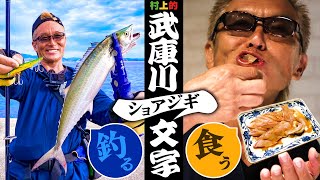 【村上的】177 武庫川一文字のサゴシを釣って食う！ [upl. by Oznerol]