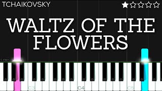 Tchaikovsky  Waltz of the Flowers  EASY Piano Tutorial [upl. by Belda]