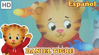 Daniel Tigre en Español  Cuando te Pierdes Algo que Amas [upl. by Bergman619]