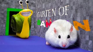 All New Monster Challenges  Hamster Adventure In Garten Of Banban Rainbow Friends [upl. by Suired]