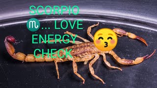 SCORPIO ♏ LOVE ENERGY CHECK COMMITMENT COMING IN REGARDLESS OF YOUR STATUS [upl. by Marcus]