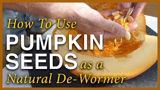 Pumpkin Season  Using The Seeds As A Dewormer [upl. by Noonberg]