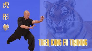 Tiger Kung Fu Training Stronger amp Faster [upl. by Sitoiyanap]