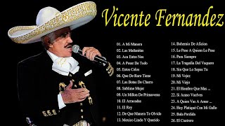 VICENTE FERNÁNDEZ MIX ROMANTICAS VIEJITAS PARA ADOLORIDOS25 GRANDES EXITOS  1 [upl. by Moureaux]