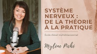 Système nerveux  de la théorie à la pratique [upl. by Terag472]