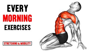 Full Body Morning Routine Stretching and Mobility Exercises [upl. by Krischer]