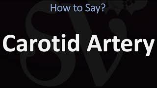 ANATOMY Tutorial  External Carotid Artery Branches [upl. by Zingg]