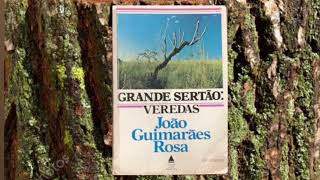 Parte 21  Grande Sertão Veredas audiobook [upl. by Ariet]