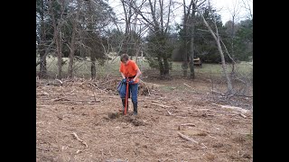 Planting bare root Loblolly pine trees by hand with a dibble bar [upl. by Sirraf788]