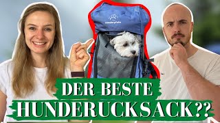 BESTER HUNDERUCKSACK I Hunderucksack Härtetest I Wanderpfote [upl. by Peters557]