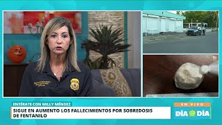 Suman 7 las muertes por sobredosis en Arecibo [upl. by Dez]