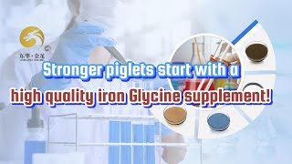 Stronger piglets start with a high quality Iron Glycine supplement [upl. by Cornwell]