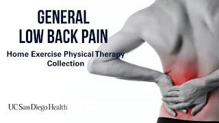 General Low Back Pain Home Exercises  UC San Diego Health [upl. by Wyck]