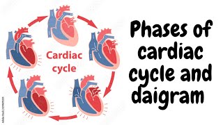 Cardiac cycle cardiac cycle physiology stage of cardiac cycle [upl. by Ailemak]