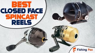 5 Best Closed Face Spincast Reels [upl. by Thorner188]