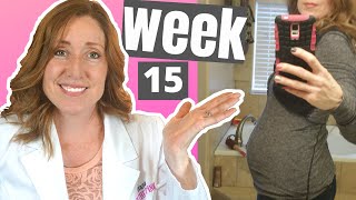 15 Week Pregnant and What to Expect  When Do you Start to Show [upl. by Alvis]