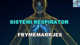 Sistemi Respirator apo i Frymëmarrjes  E Ripërpunuar [upl. by Idnis]