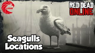 Seagulls Locations rdr2 Online  Red Dead Online Seagulls Location Guide [upl. by Silrac]