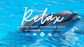 🌊🐬 Calming Ocean Waves Dolphins amp Surfing Waves for Relaxation amp Sleep [upl. by Korman703]