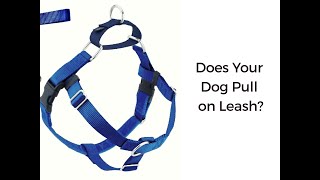 How to Fit a No Pull Freedom Harness [upl. by Eidnyl]