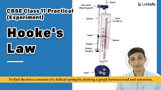 Hookes Law Experiment for Class 11 Practical [upl. by Ahsirek]