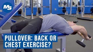 Dumbbell Pullover Chest or Back Exercise [upl. by Issy]