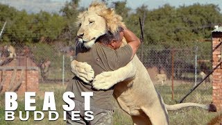 The Man Who Cuddles Lions  BEAST BUDDIES [upl. by Netnerb]