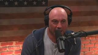 Joe Rogan Talks to CT Fletcher About Steroids [upl. by Waldron490]