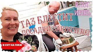 ВЛОГ  ПОЛНО СОБЫТИЙ  КЛУМБА ГОТОВА  ЖДЕМ СТОЛЕШНИЦУ [upl. by Cyndy]