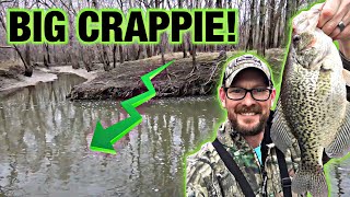 BIG CRAPPIE are in the CREEKS Fishing Post Cold Front [upl. by Klimesh]