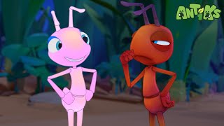 Glowing Nowhere  Antiks 🐜  Funny Cartoons for Kids [upl. by Gae]