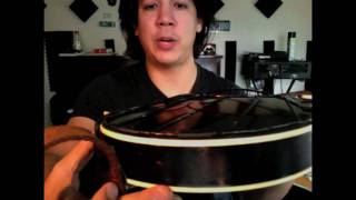 Holoubek F5 Mandolin Review [upl. by Tonya843]