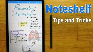 Noteshelf Tips and Tricks ✏Tab S6 Lite  Best Note Taking App [upl. by Aidnyc]