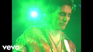 Steve Vai  The Boy From Seattle [upl. by Kreegar]