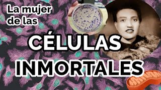 Henrietta Lacks y las células inmortales 🔬🧫 [upl. by Eceryt991]