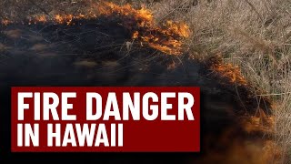 Fire danger and strong winds are expected in Hawaii What can you expect [upl. by Neras454]