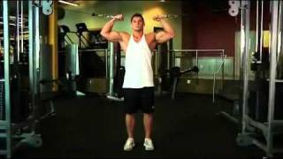 Biceps  Overhead Cable Curl Exercise Guide [upl. by Liahkim]