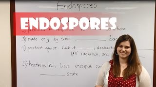 Endospores [upl. by Blankenship]