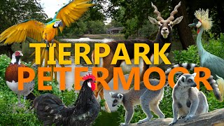 Tierpark Petermoor in Bassum  ZooEindruck [upl. by Gussy909]