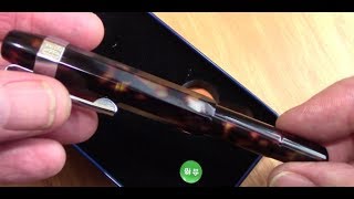 Delike Alpha Daimao Fountain Pen Review [upl. by Ydorb848]