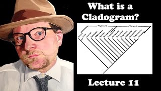 Lecture 11 What is a Cladogram [upl. by Nosreip]