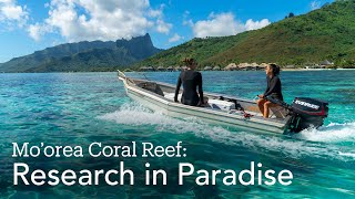 Moorea Coral Reef Research in Paradise [upl. by Mailliw280]