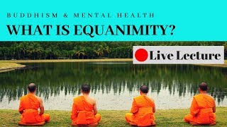 What is Equanimity and How Do You Cultivate It Buddhism amp Mental Health Live Lecture [upl. by Aiello532]