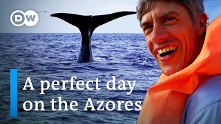 Discover the Azores  A perfect Day on the Azores  Best things to do on the Azores [upl. by Archer]